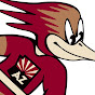 Tucson Roadrunners logo