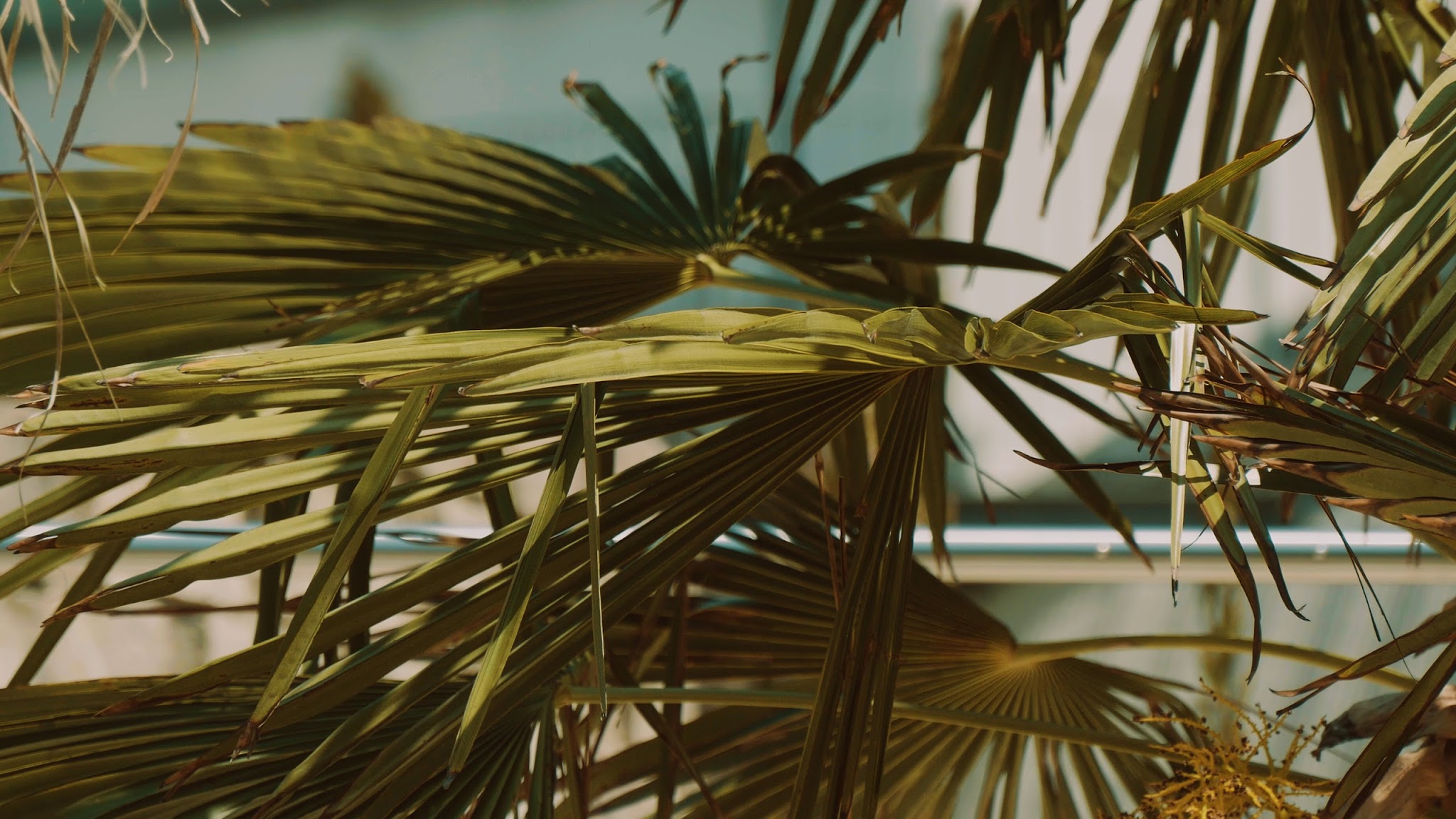 Spa Resort Geinberg YouTube banner