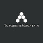 Turquoise Mountain Trust logo
