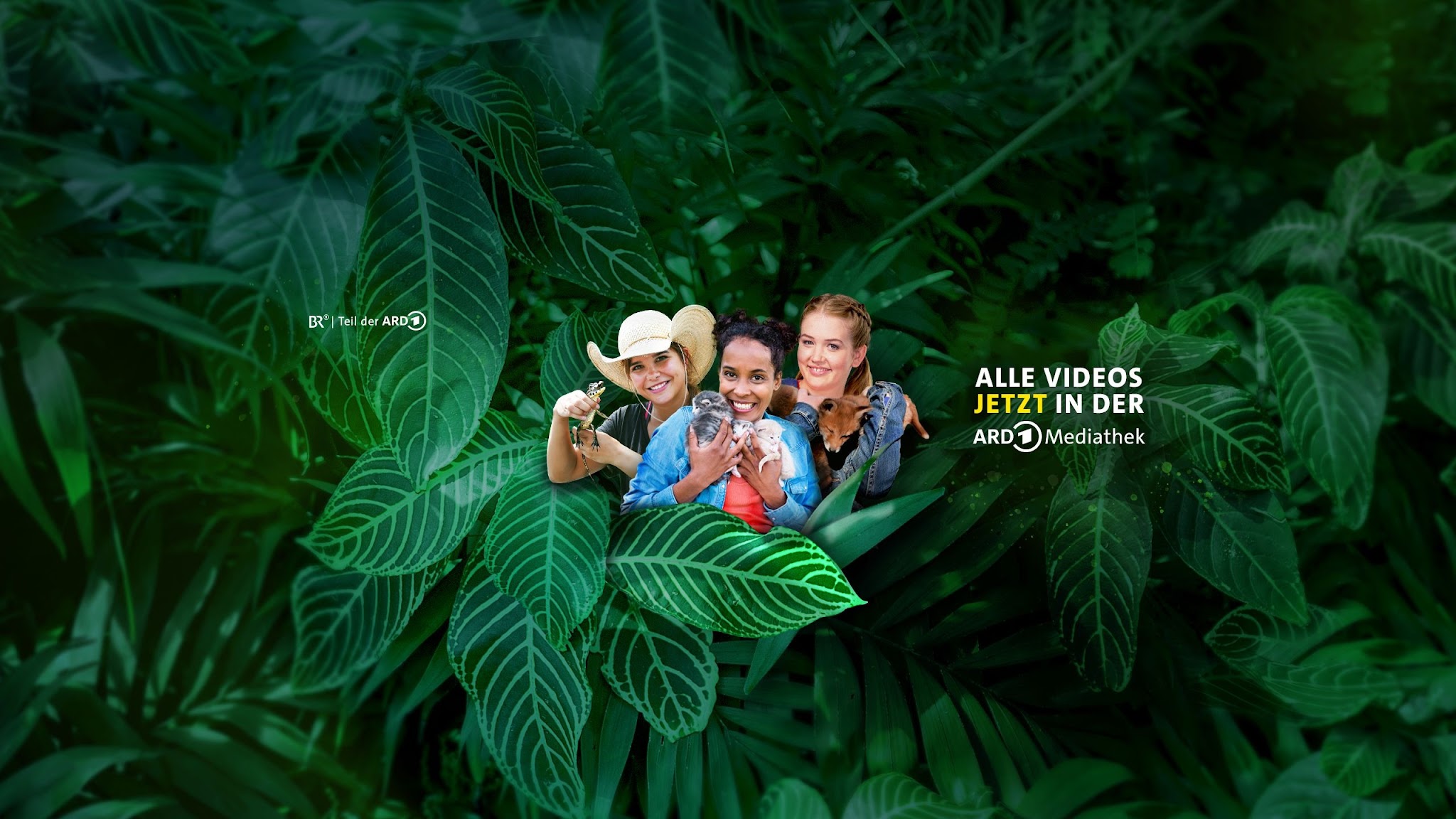 Wilde Tierwelt YouTube banner