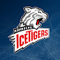 Nürnberg Ice Tigers logo