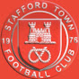 Stafford Town TV logo