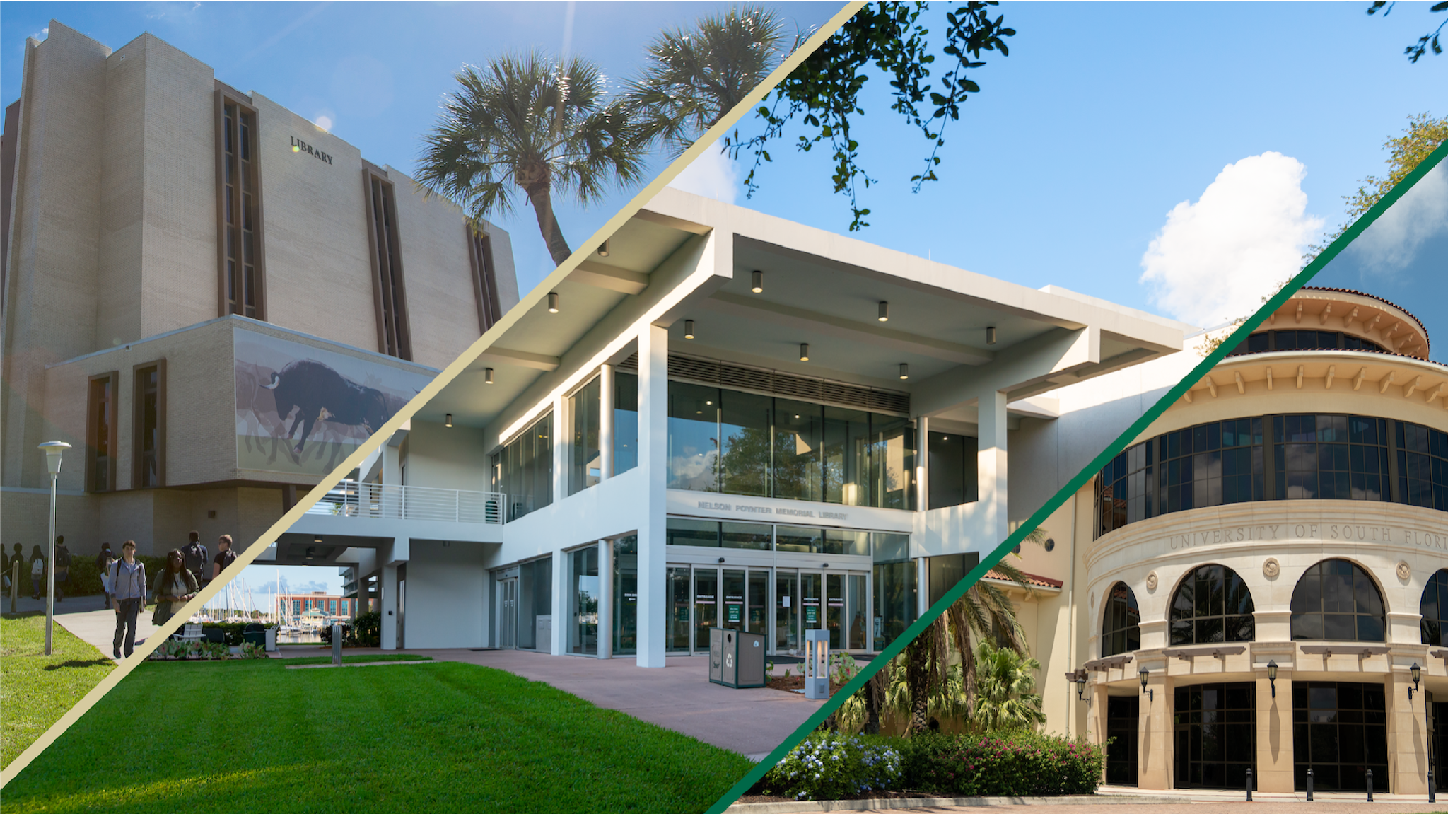 University of South Florida Libraries YouTube banner