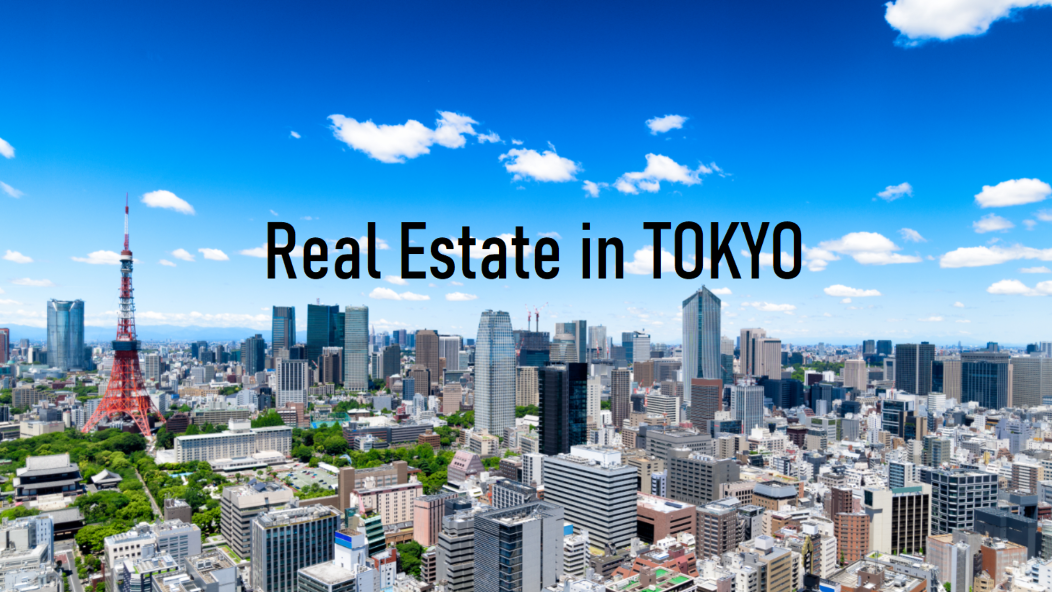 RISE Corp Tokyo / ライズ・コーポレーションズ YouTube banner