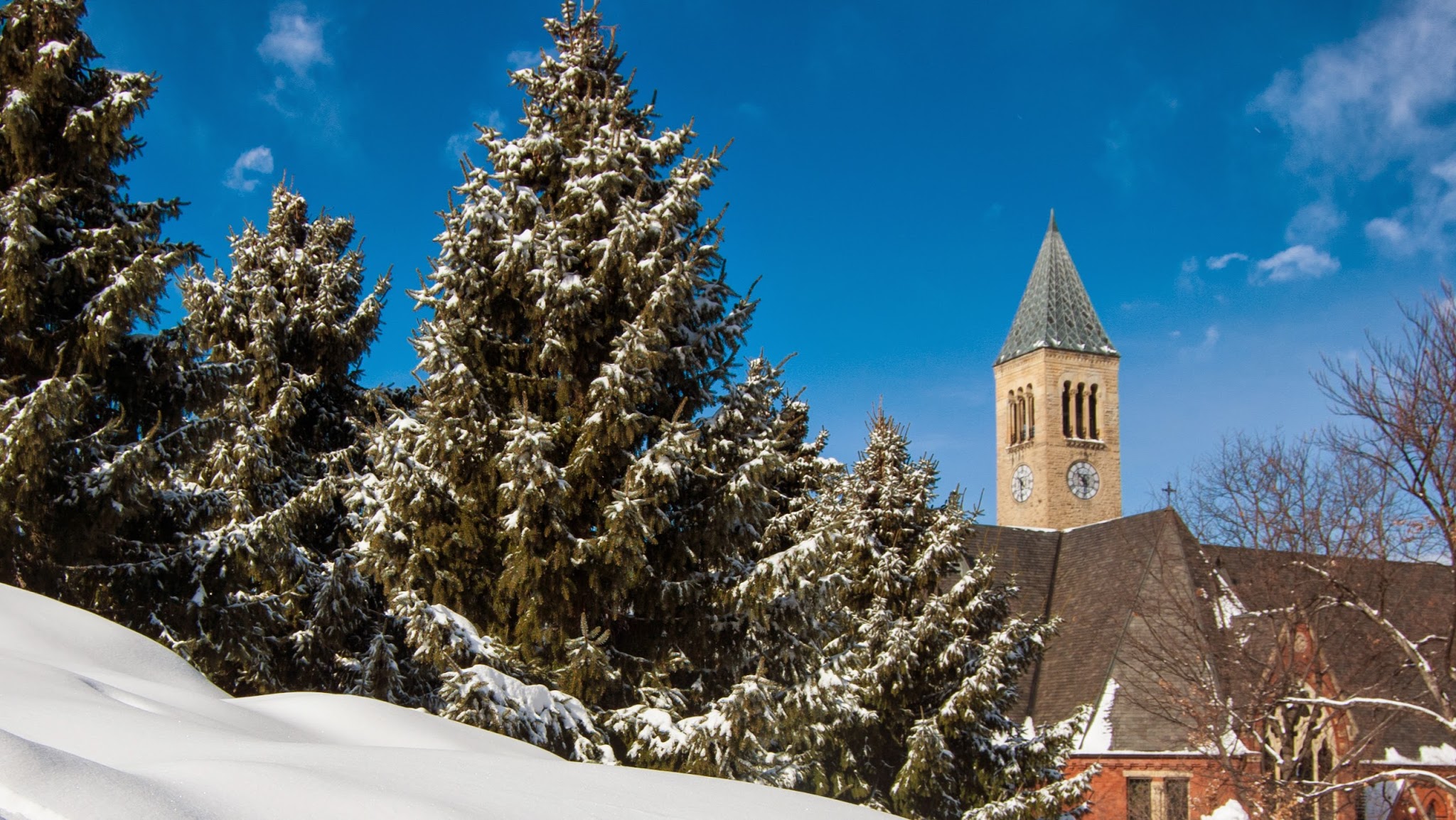 Cornell University Library YouTube banner