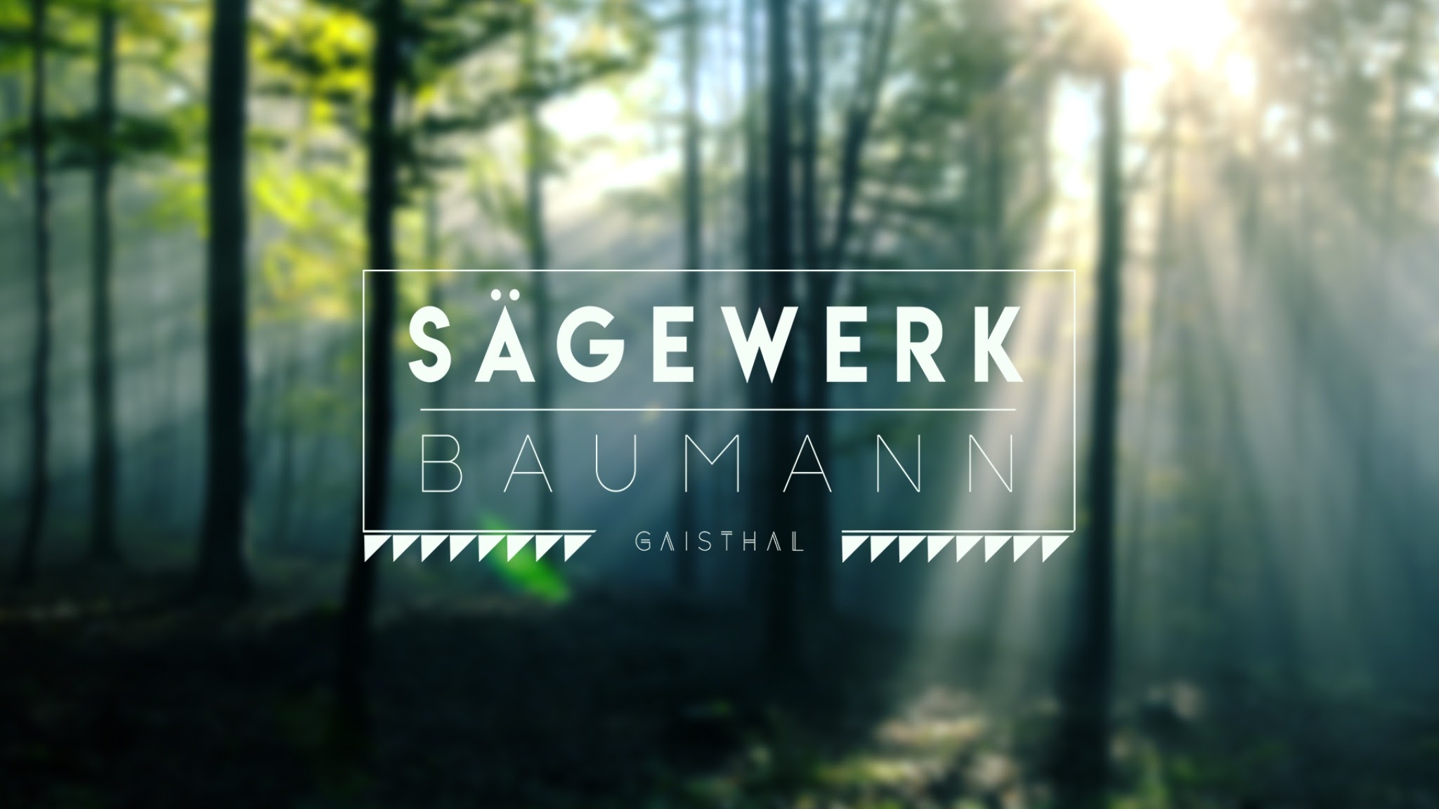 Sägewerk Baumann YouTube banner
