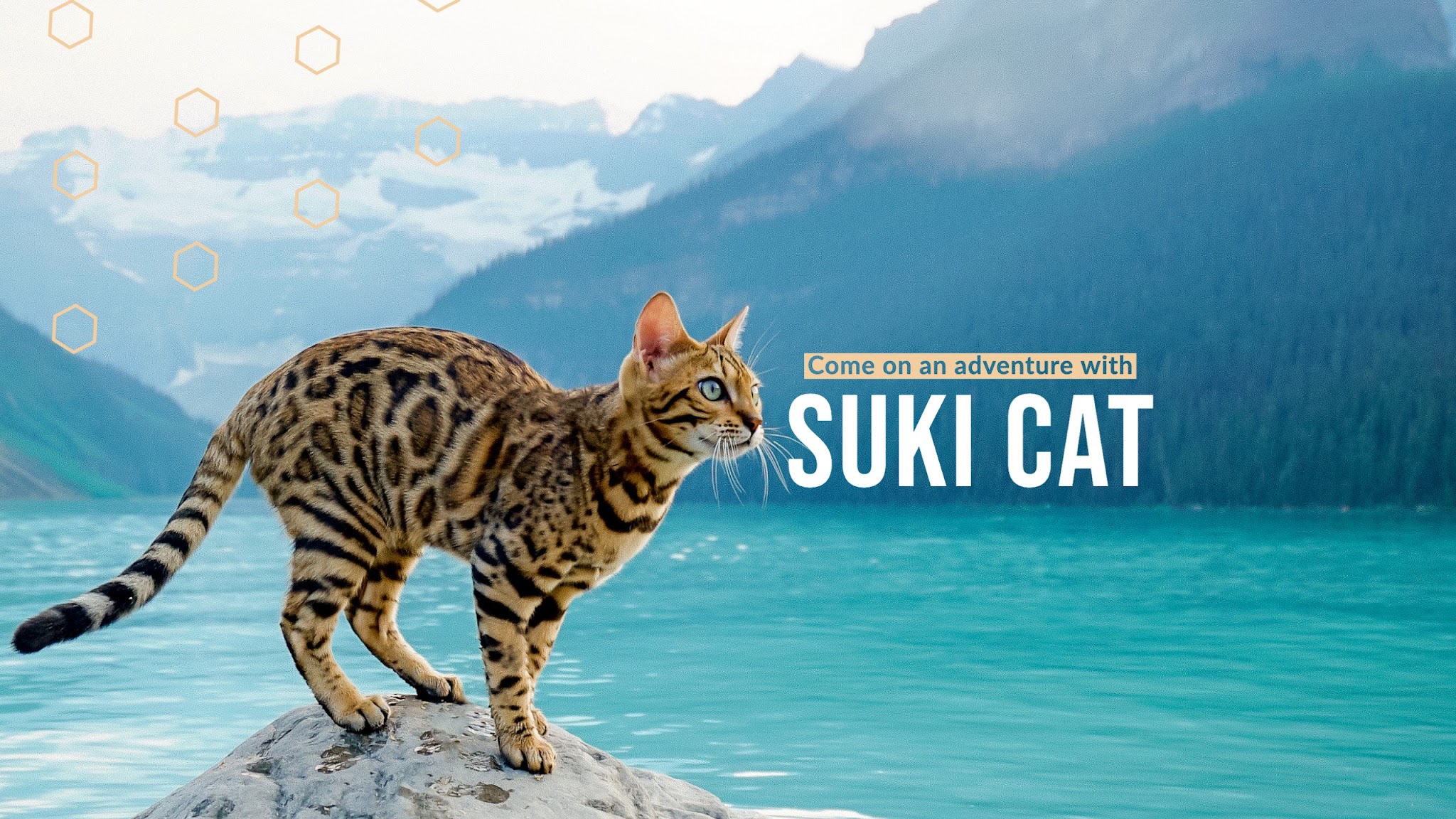 Suki Cat YouTube banner