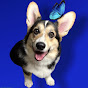 Корги Луна YouTube channel avatar 