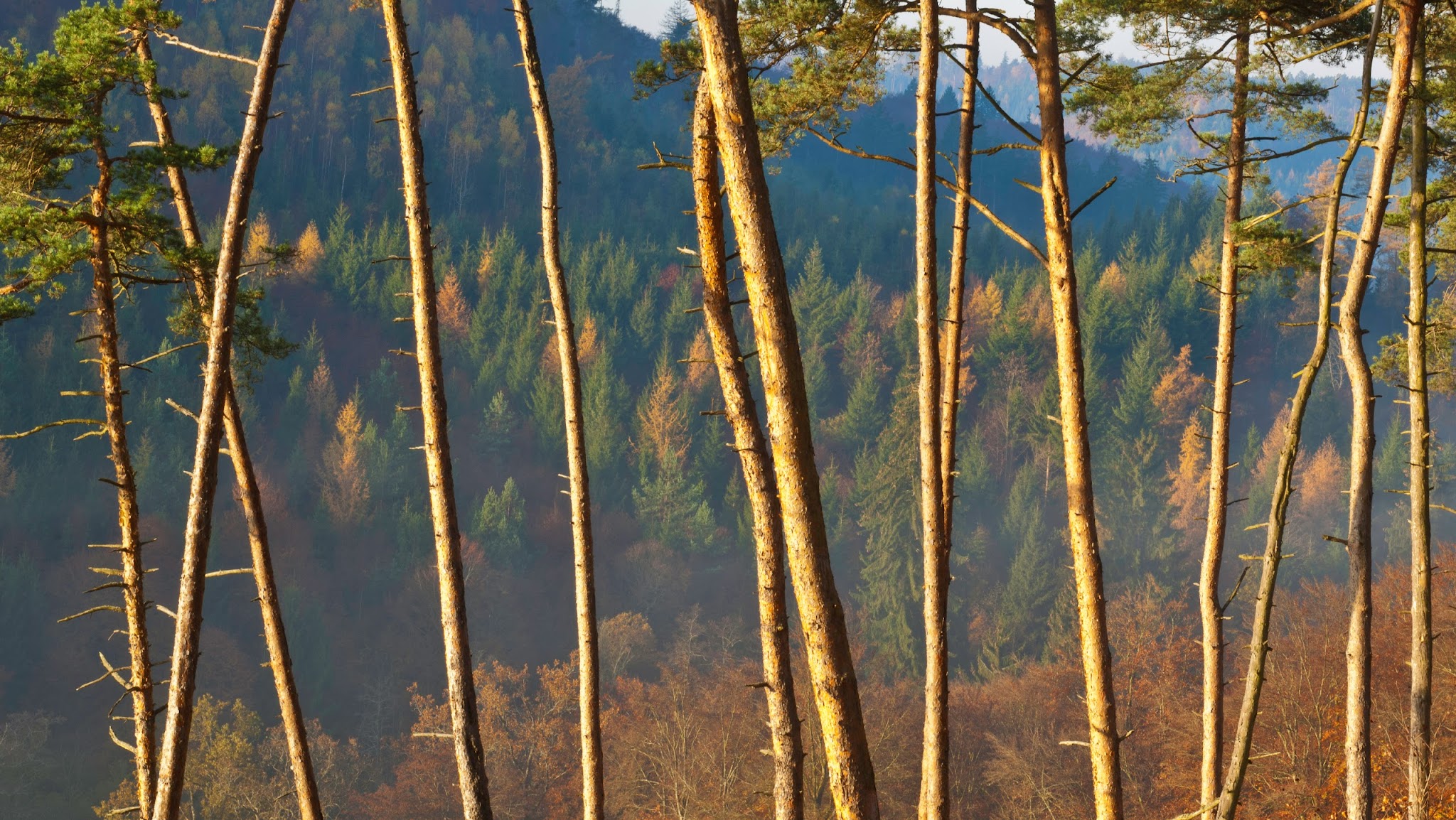 Naturpark Schönbuch YouTube banner