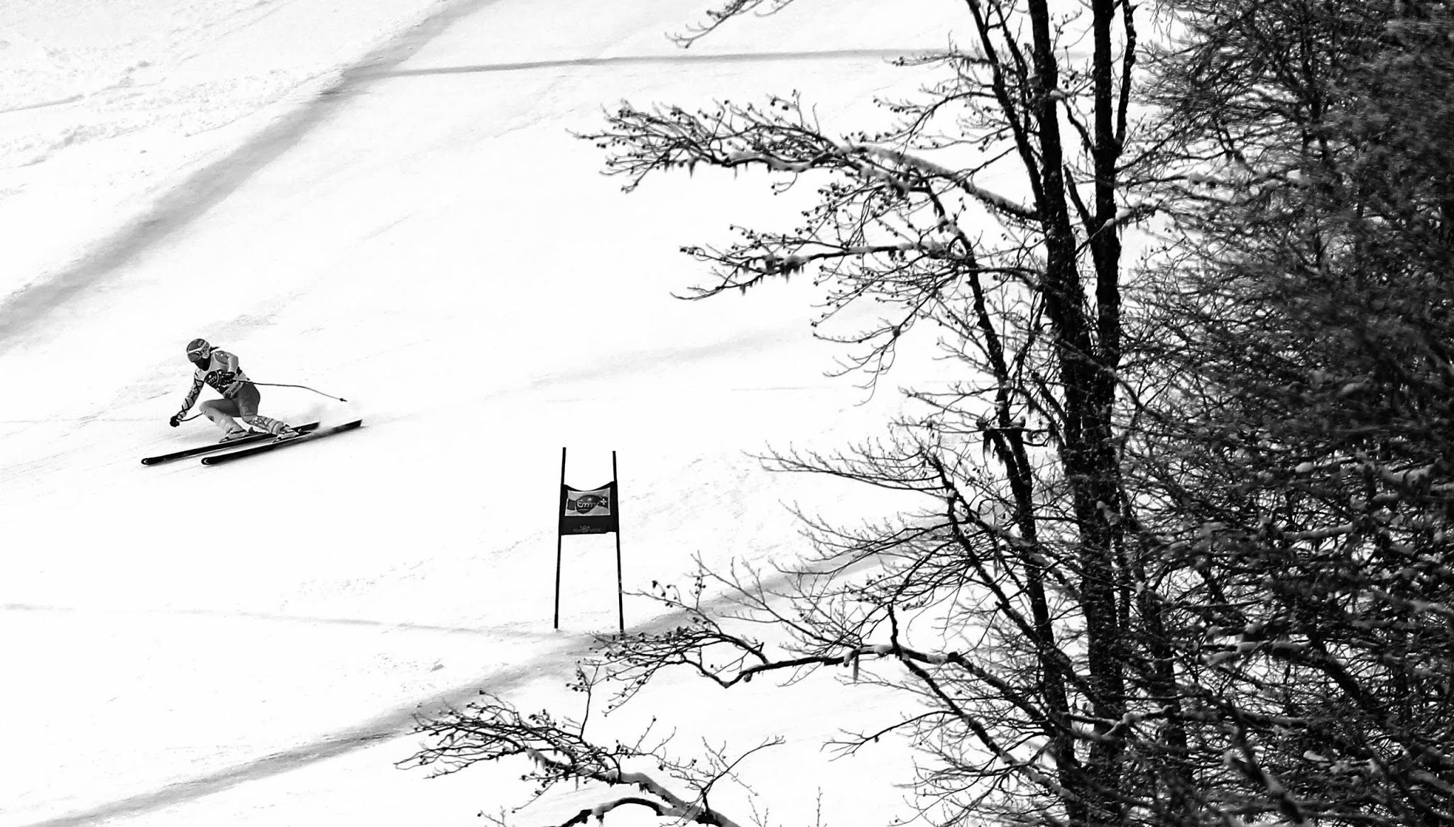 AlpineCanadaAlpin YouTube banner