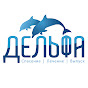 Центр спасения дельфинов Дельфа YouTube channel avatar 