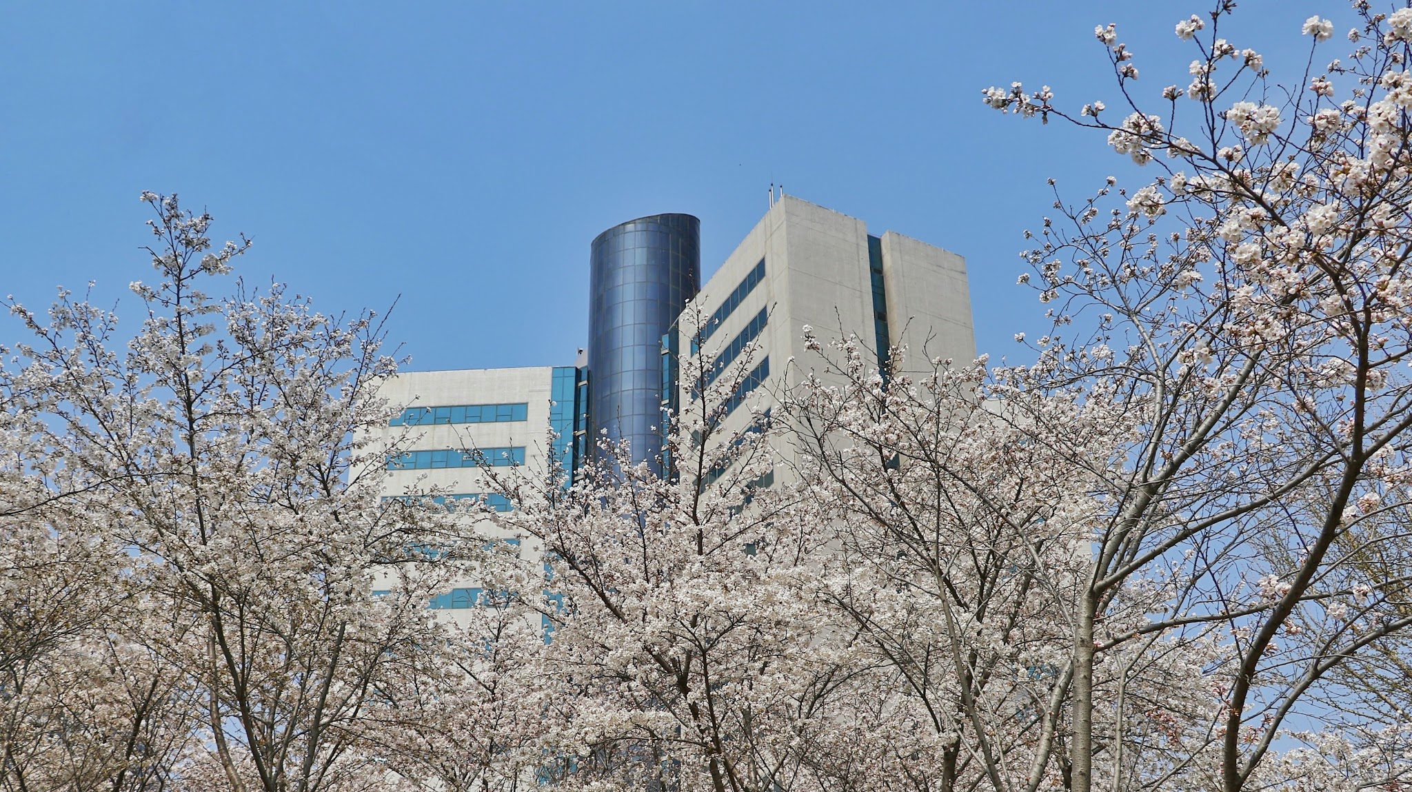 CGTNJAPANESE YouTube banner