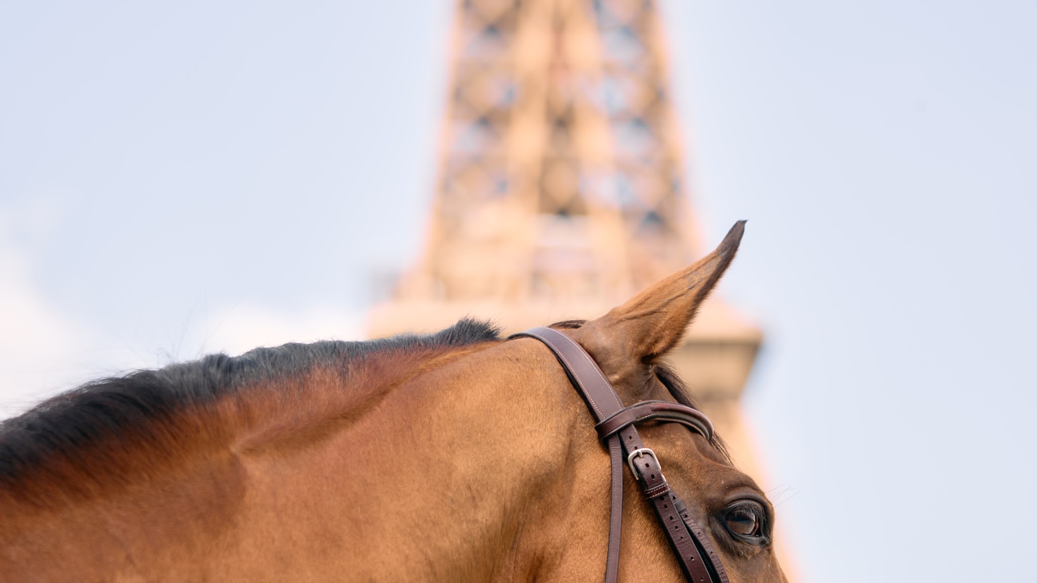Longines Paris Eiffel Jumping YouTube banner