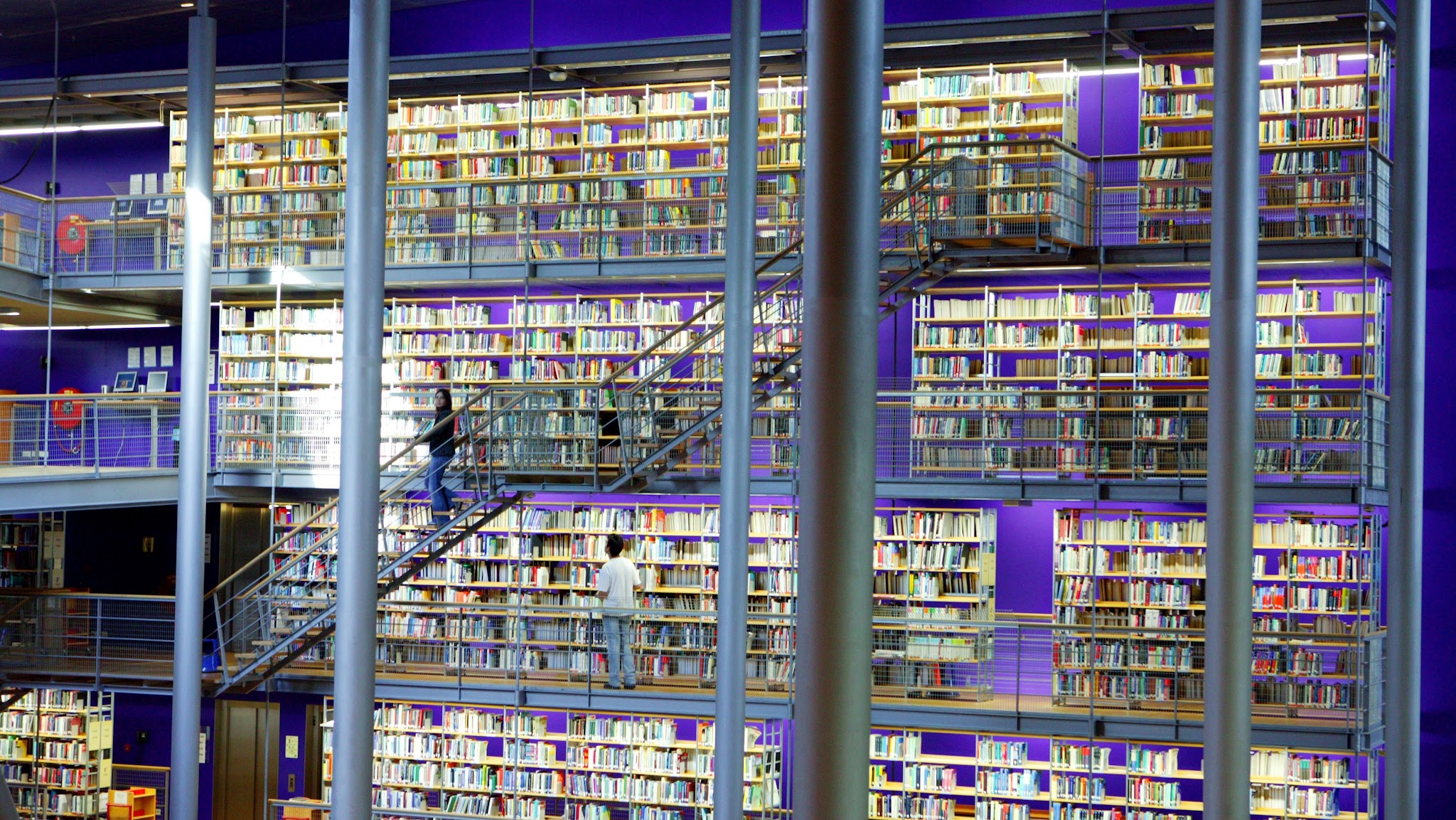 Study in NL YouTube banner