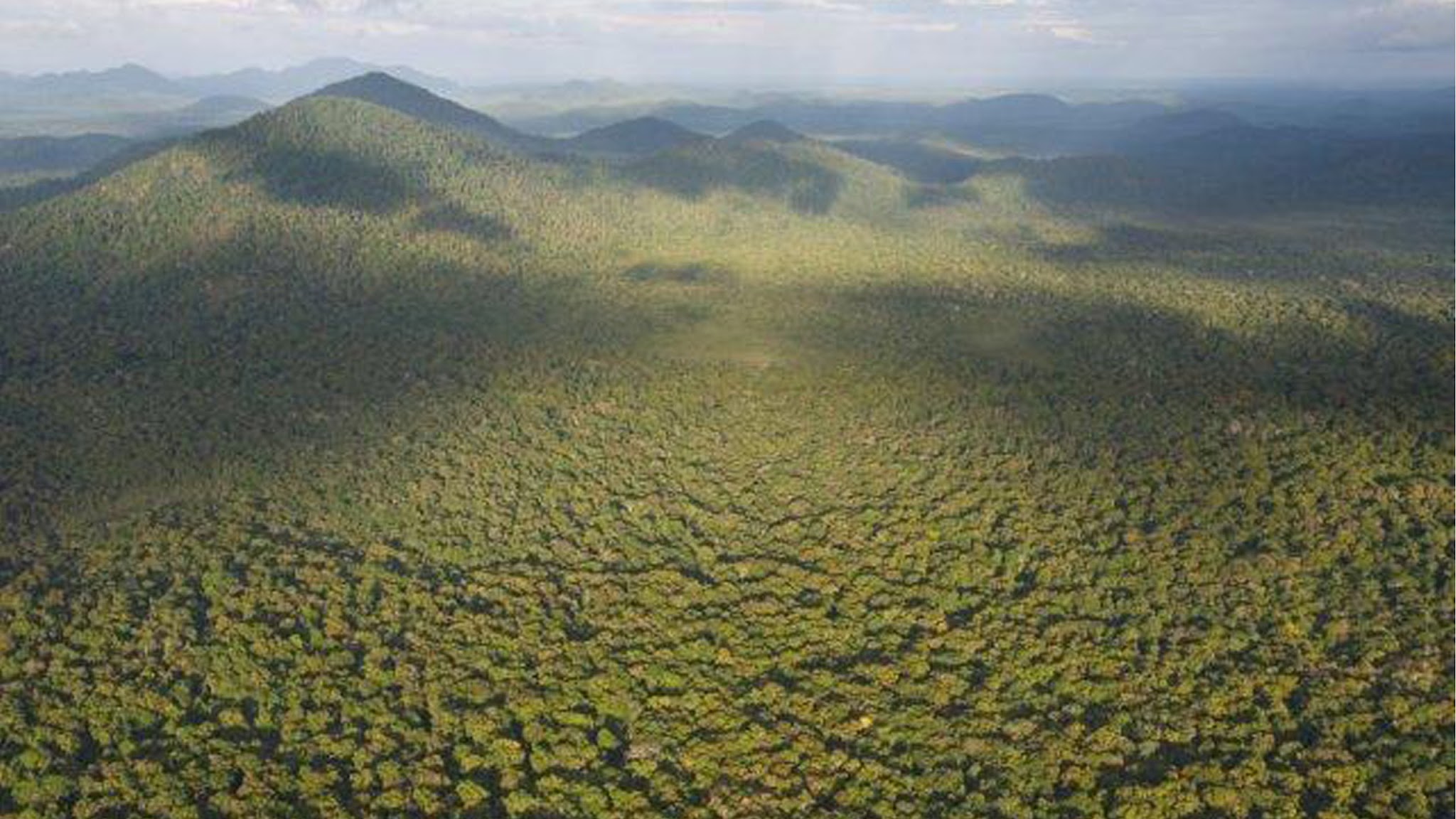 Guyana Forestry Commission YouTube banner