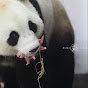 Pairi Daiza logo