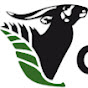 Agence Nationale des Parcs Nationaux -Gabon ANPN logo