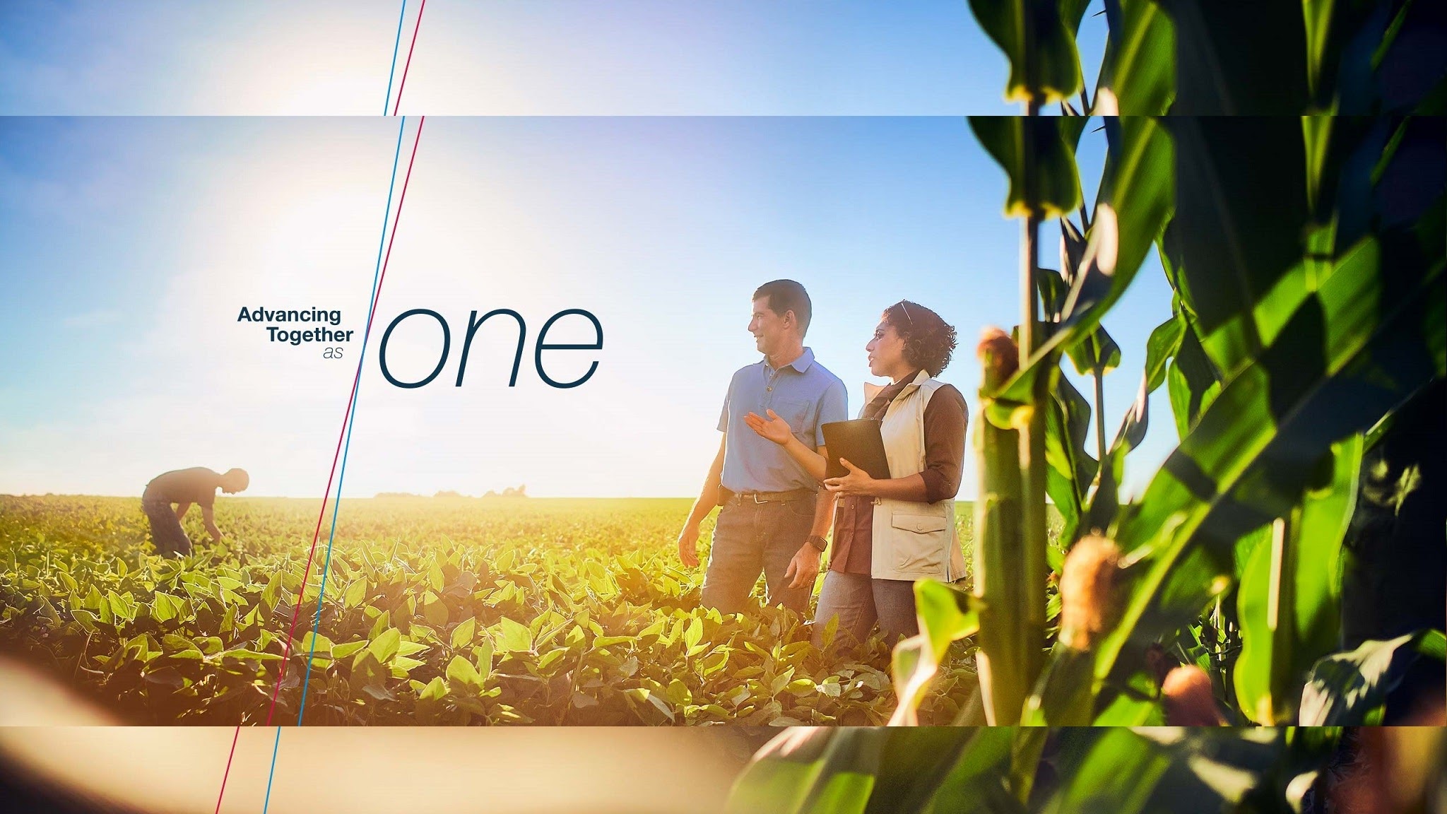 Bayer CropScience Srbija YouTube banner