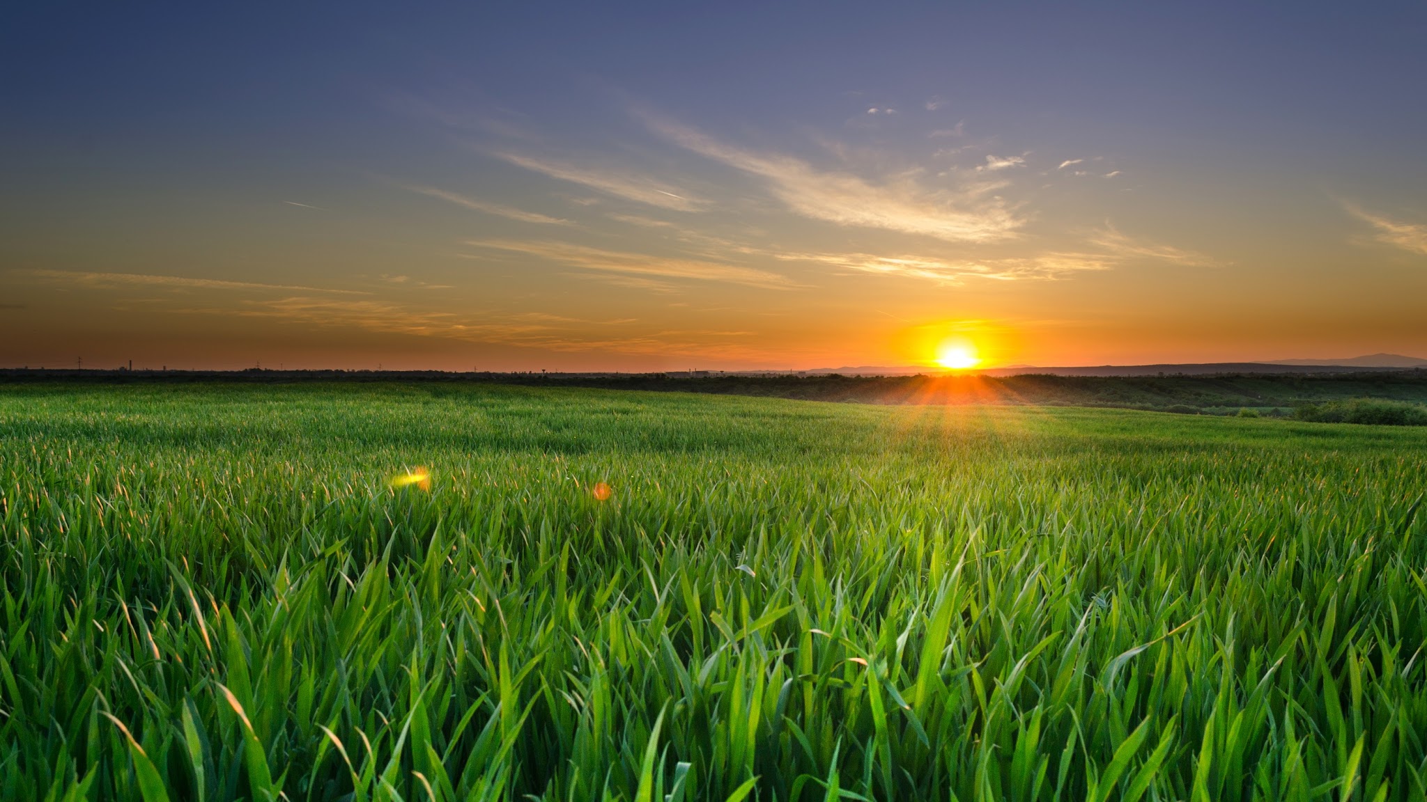 Syngenta Česká republika YouTube banner