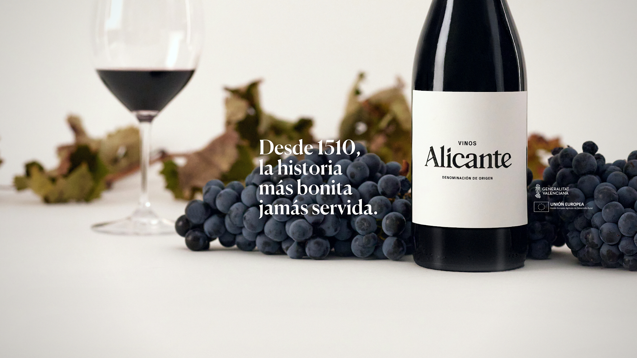 vinosalicante YouTube banner