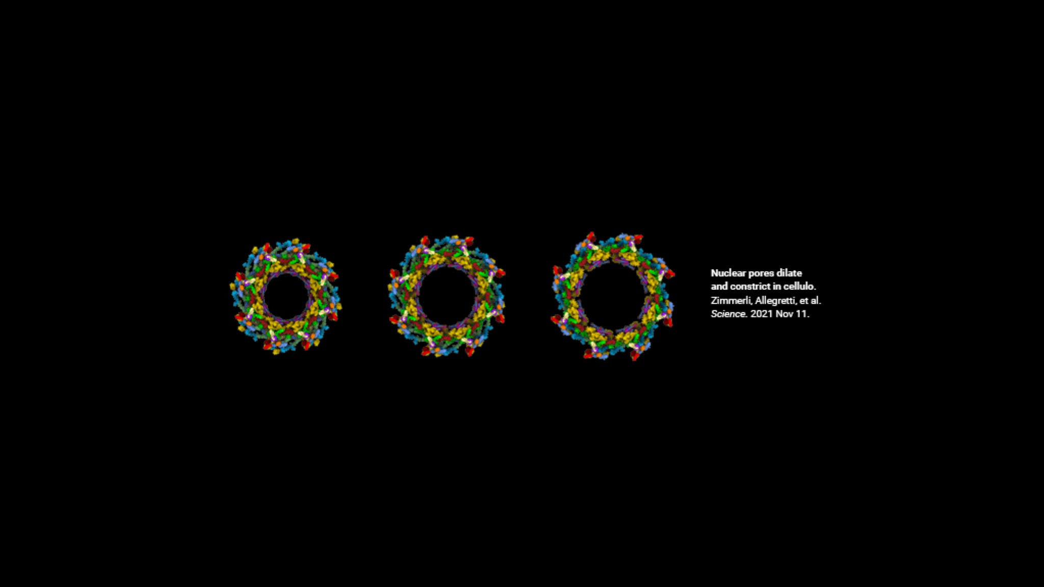 Max Planck Institute of Biophysics YouTube banner