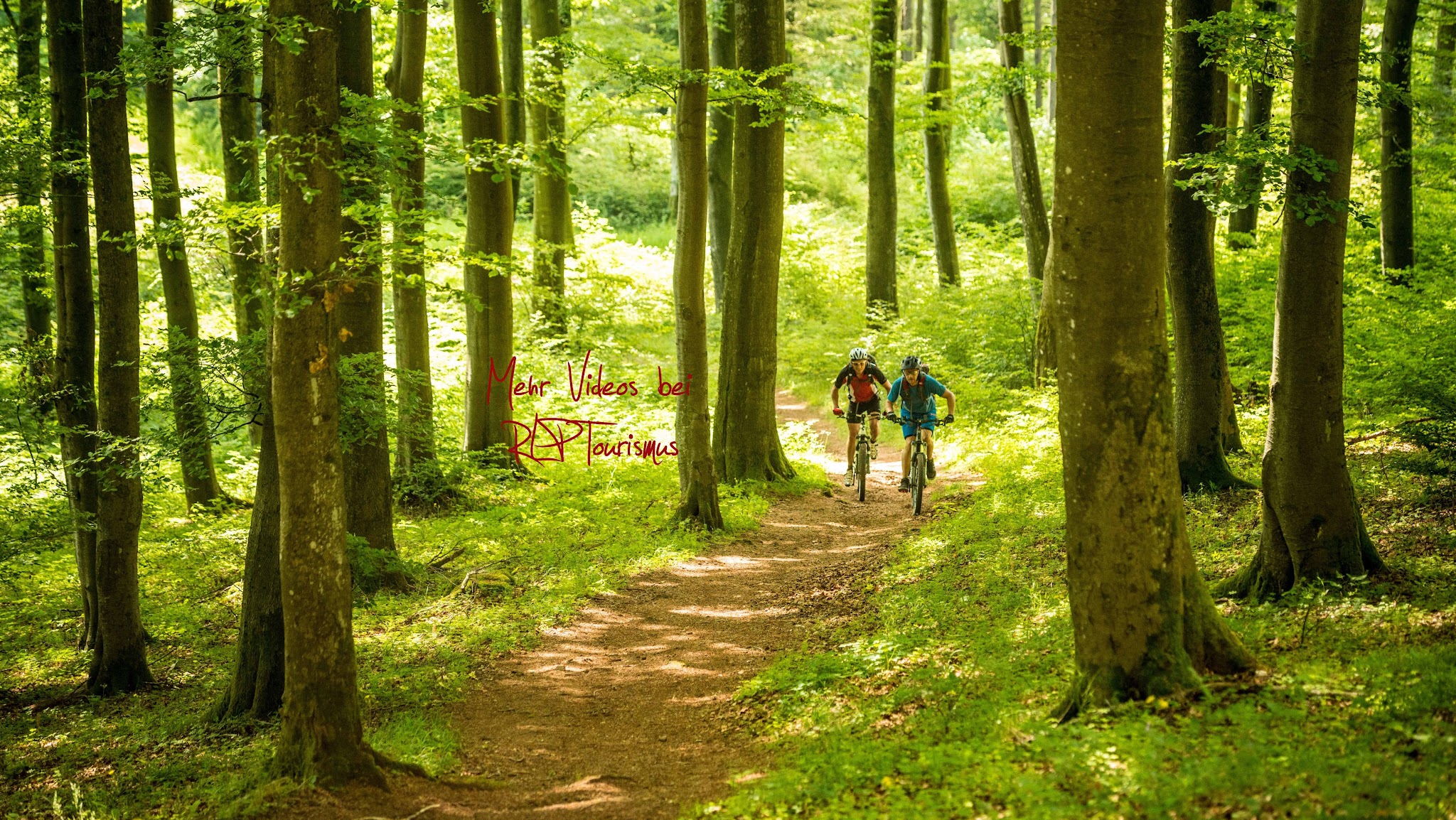 Radfahren in Rheinland-Pfalz YouTube banner