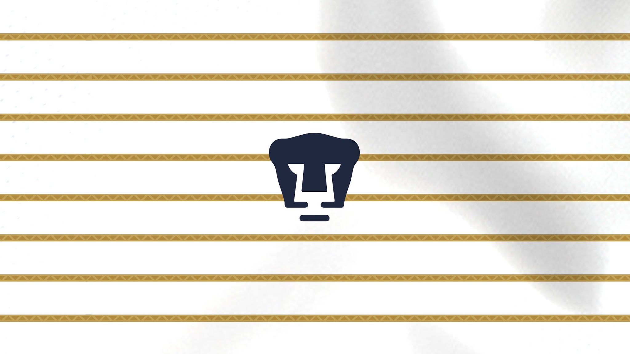 PumasMX YouTube banner