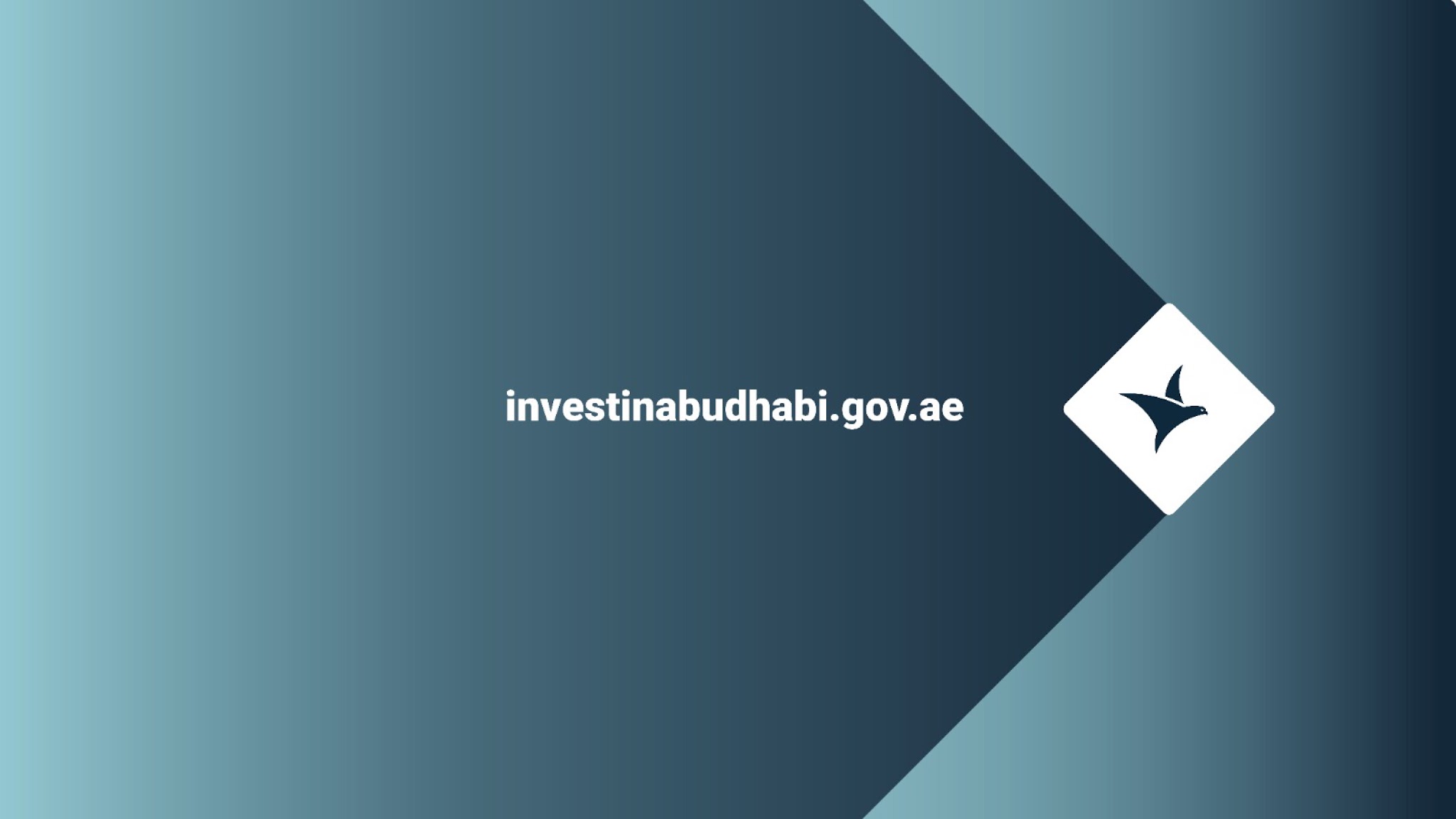 Abu Dhabi Investment Office YouTube banner