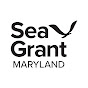 MDSeaGrant YouTube channel avatar 