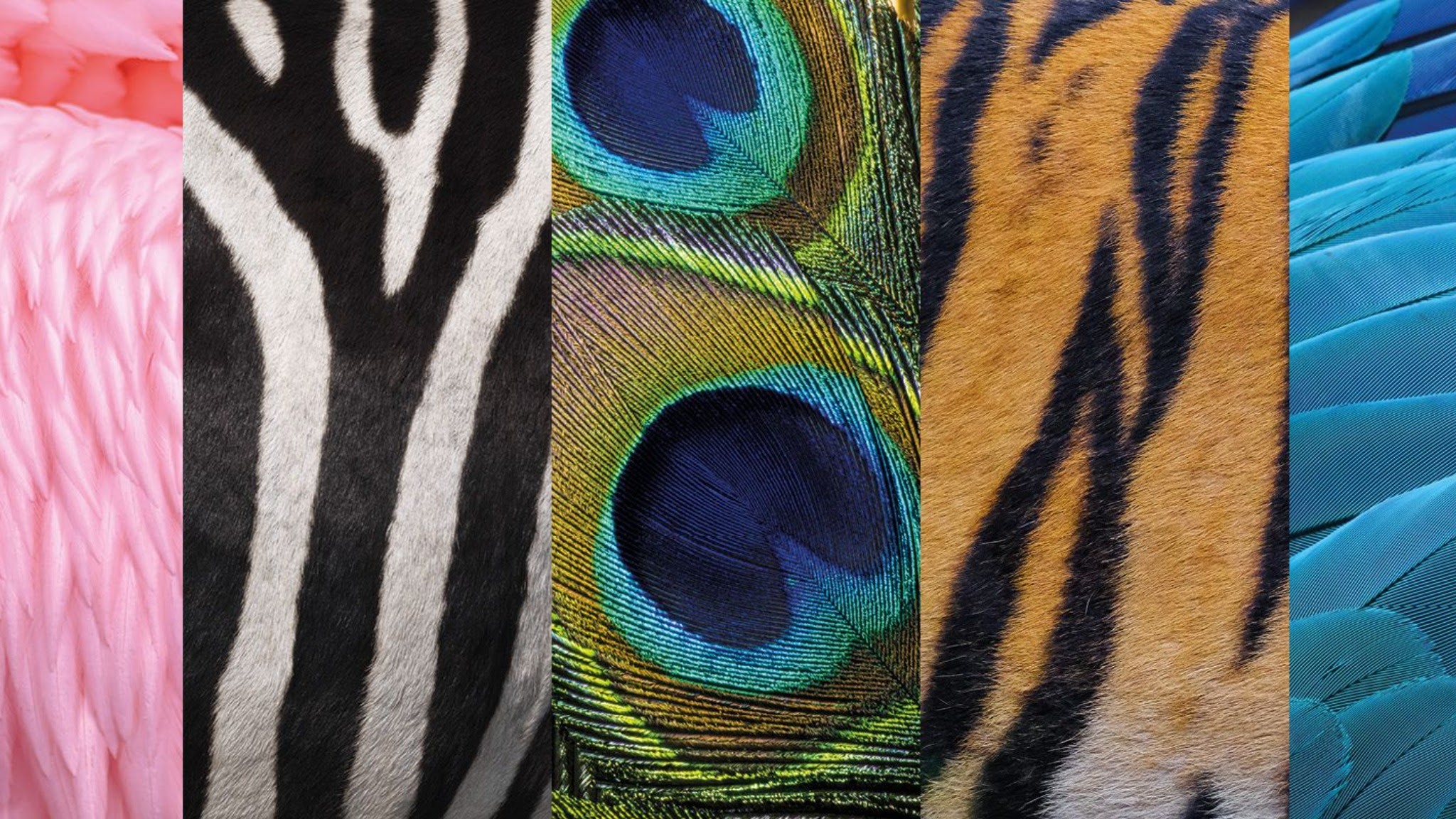 Erlebnis-Zoo Hannover YouTube banner