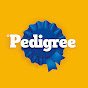 Pedigree MX YouTube channel avatar 