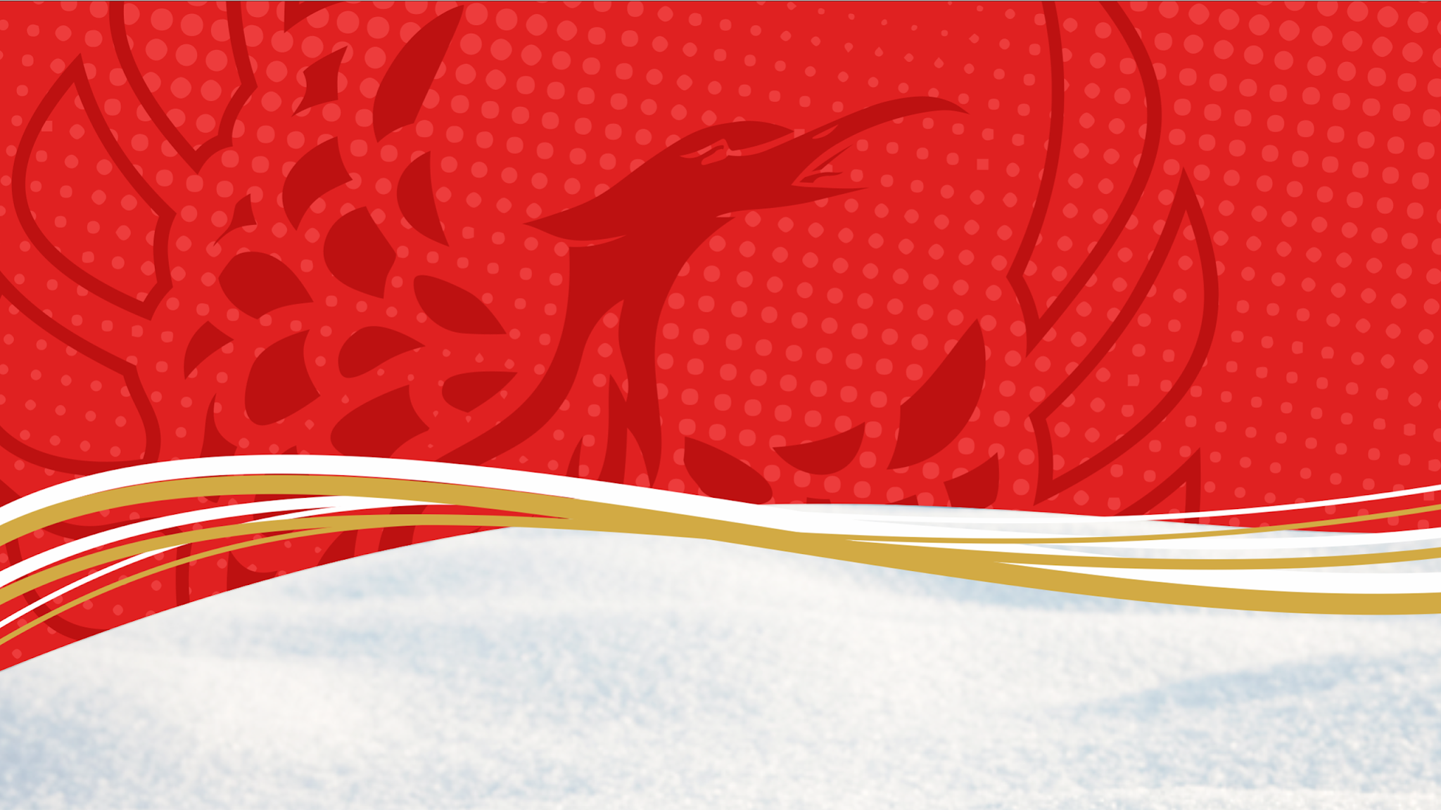 Debreceni Hoki Klub YouTube banner
