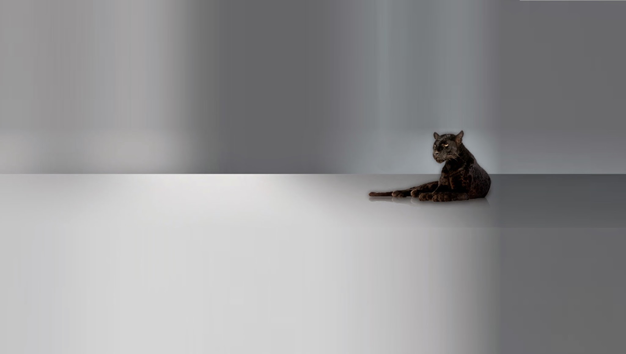 MBC2 YouTube banner