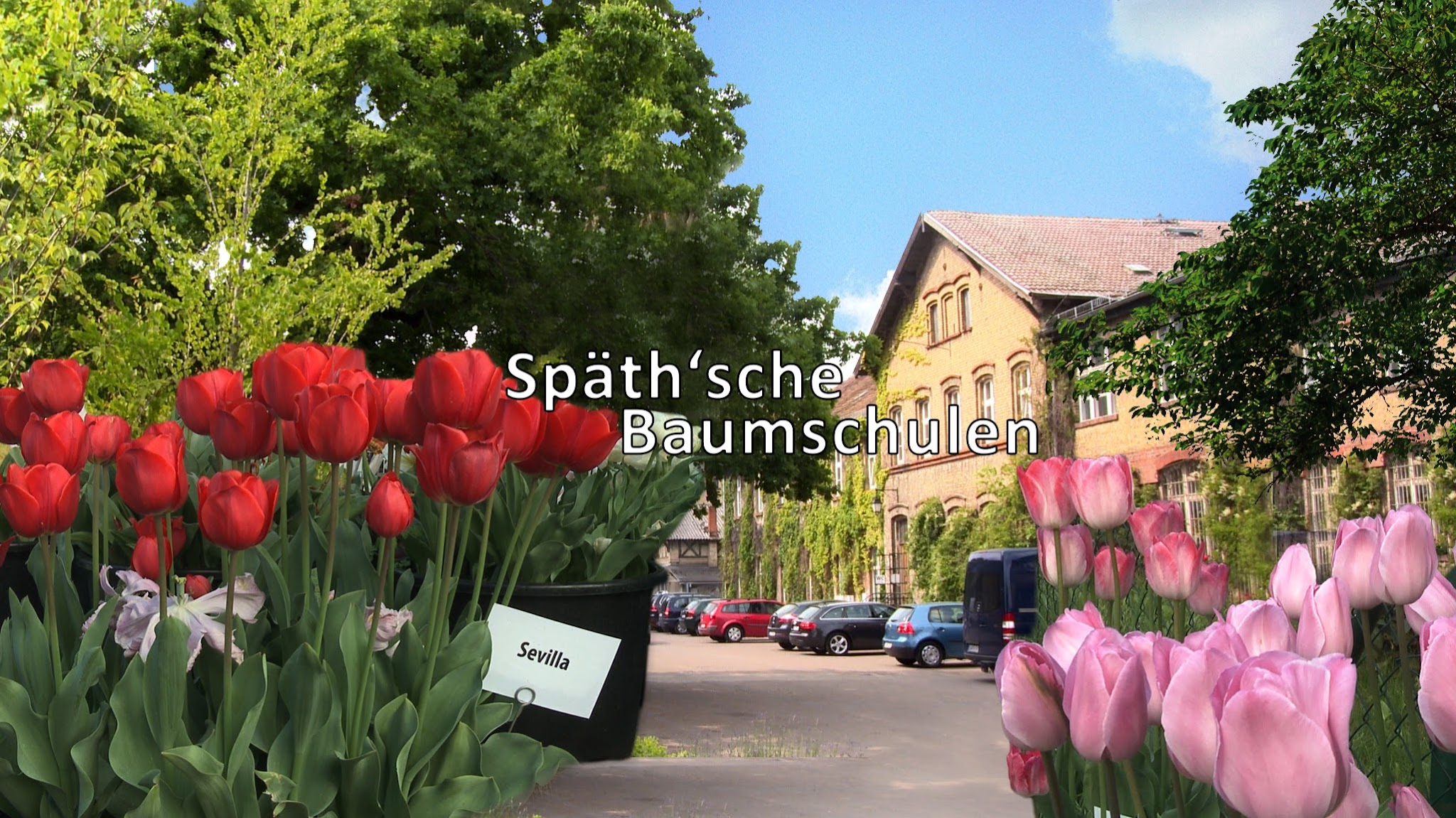 Späthsche Baumschulen YouTube banner