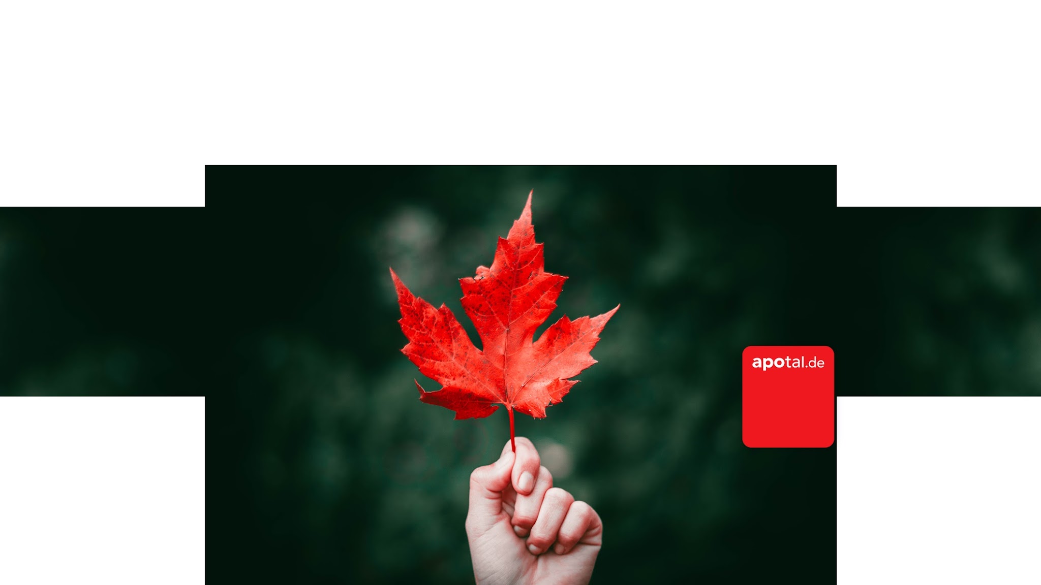 apotal - Ihre Versandapotheke YouTube banner