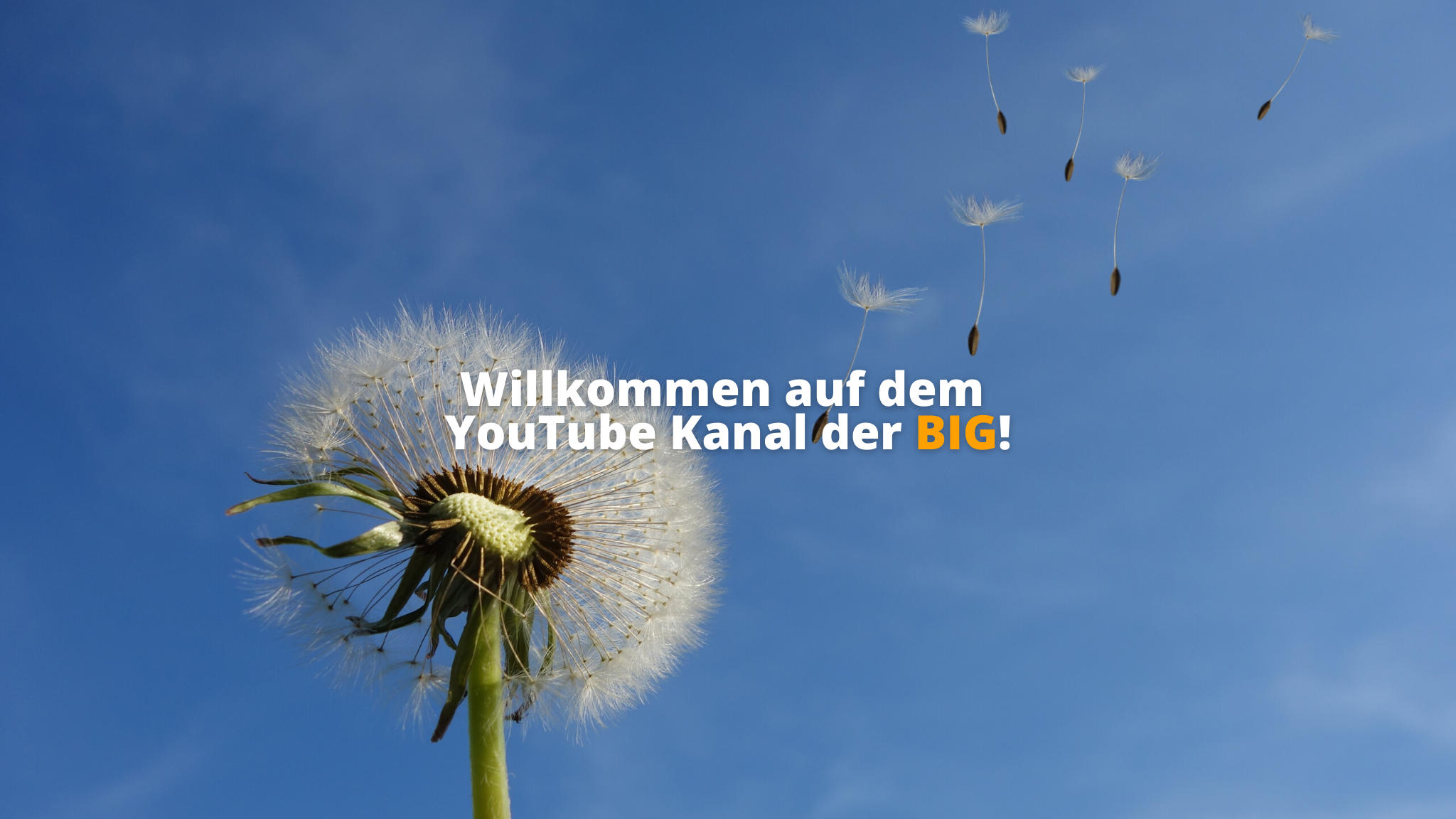 BIG direkt gesund YouTube banner