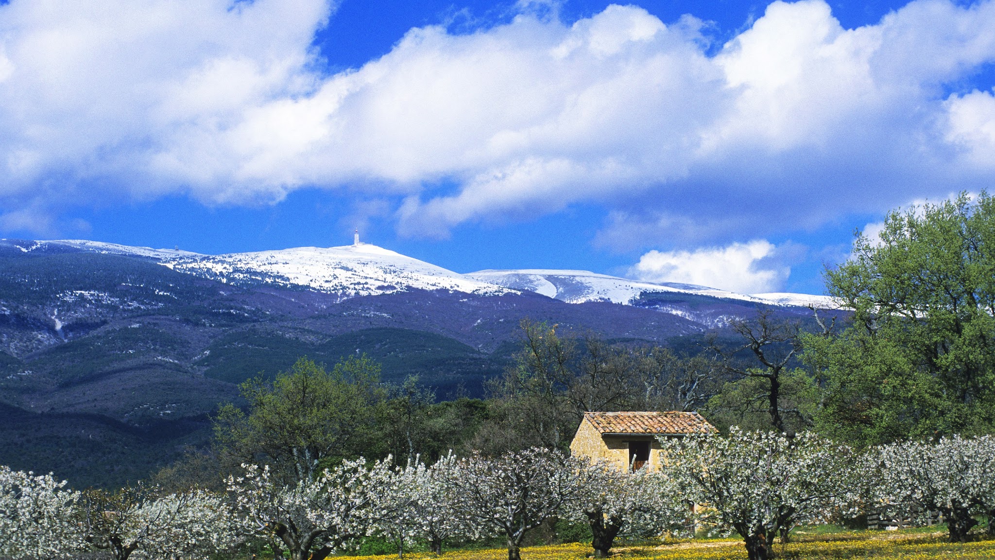 Parc naturel régional du MONT-VENTOUX YouTube banner