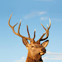 The Scottish Deer Centre & Wildlife Park logo