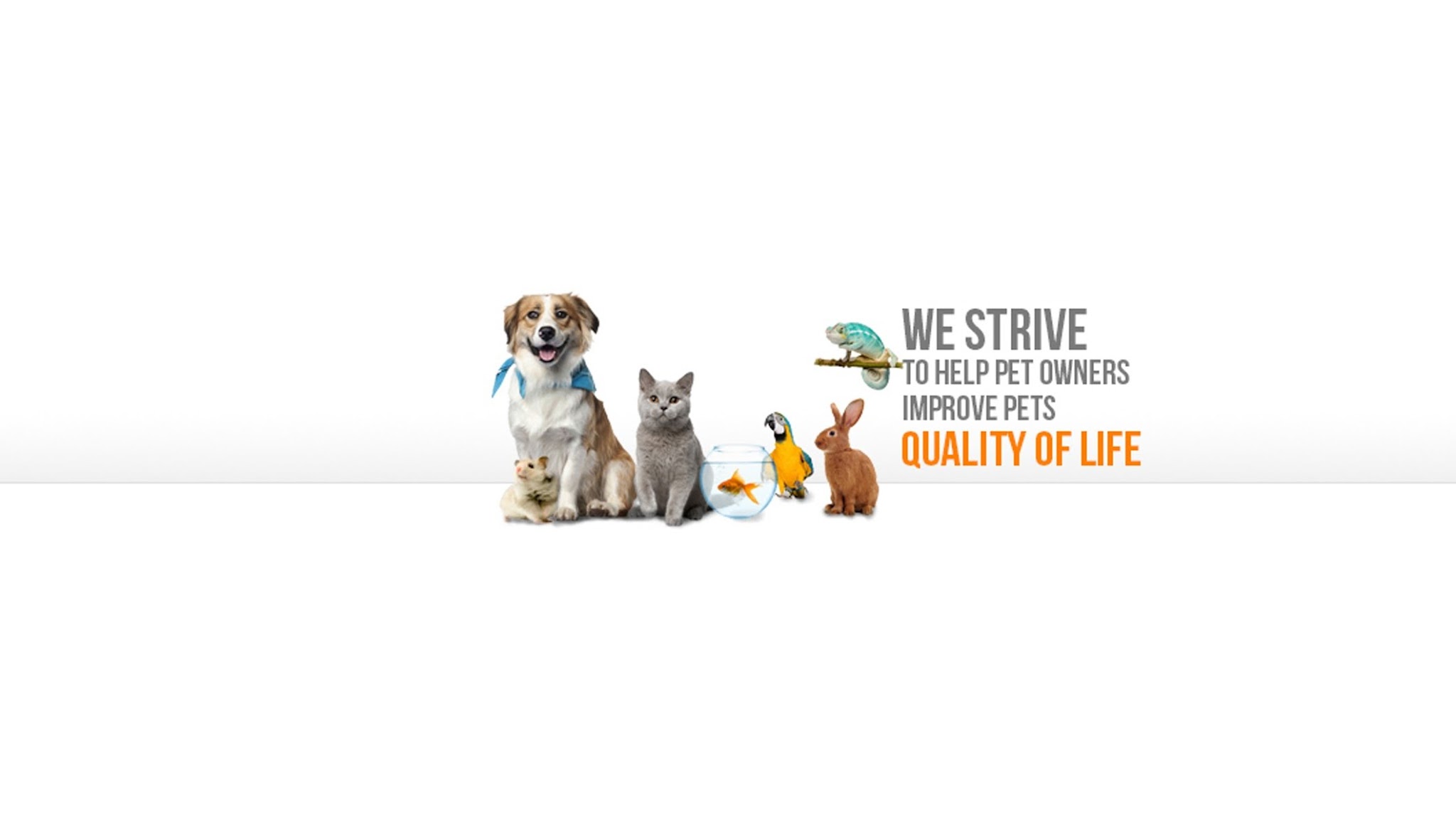 EntirelyPets YouTube banner