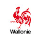Gouvernement de Wallonie logo