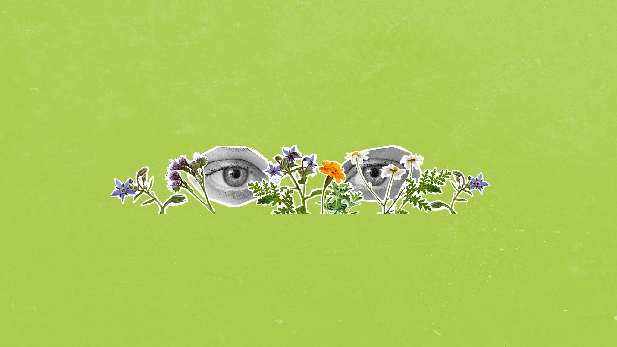 EGK-Gesundheitskasse YouTube banner