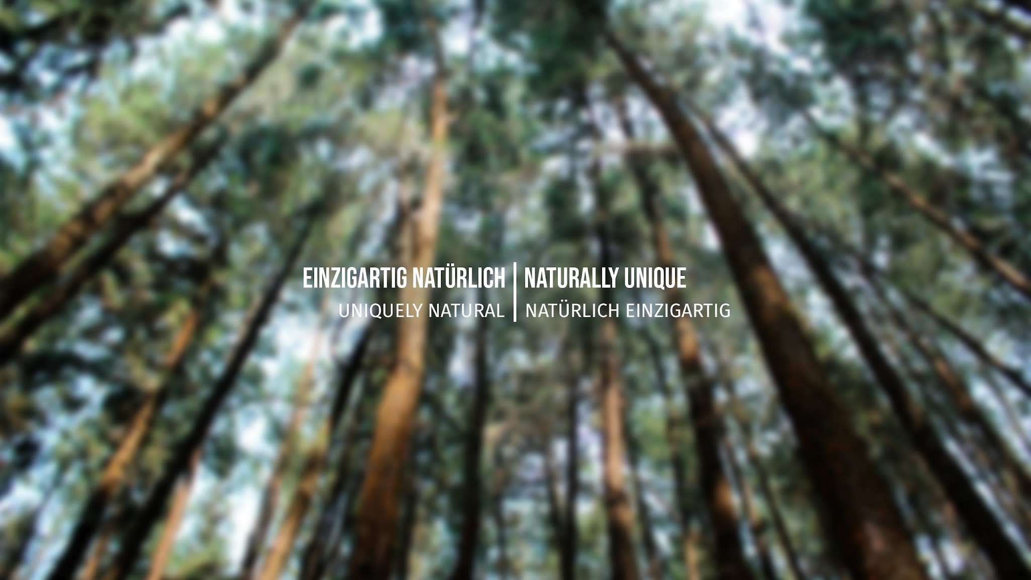 Time for Nature / Holzkern YouTube banner