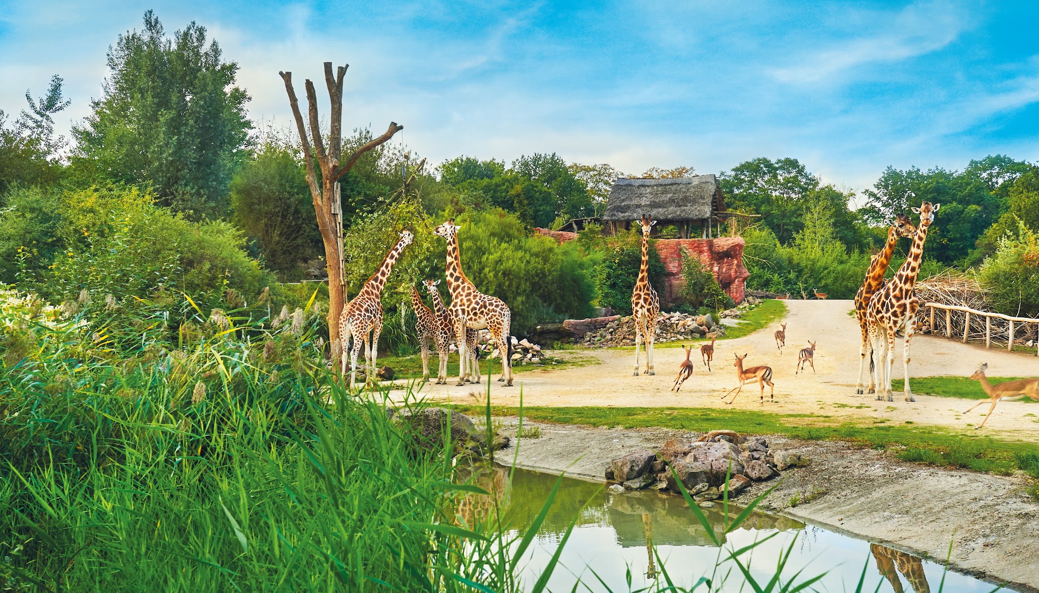 ZOOM Erlebniswelt Gelsenkirchen YouTube banner