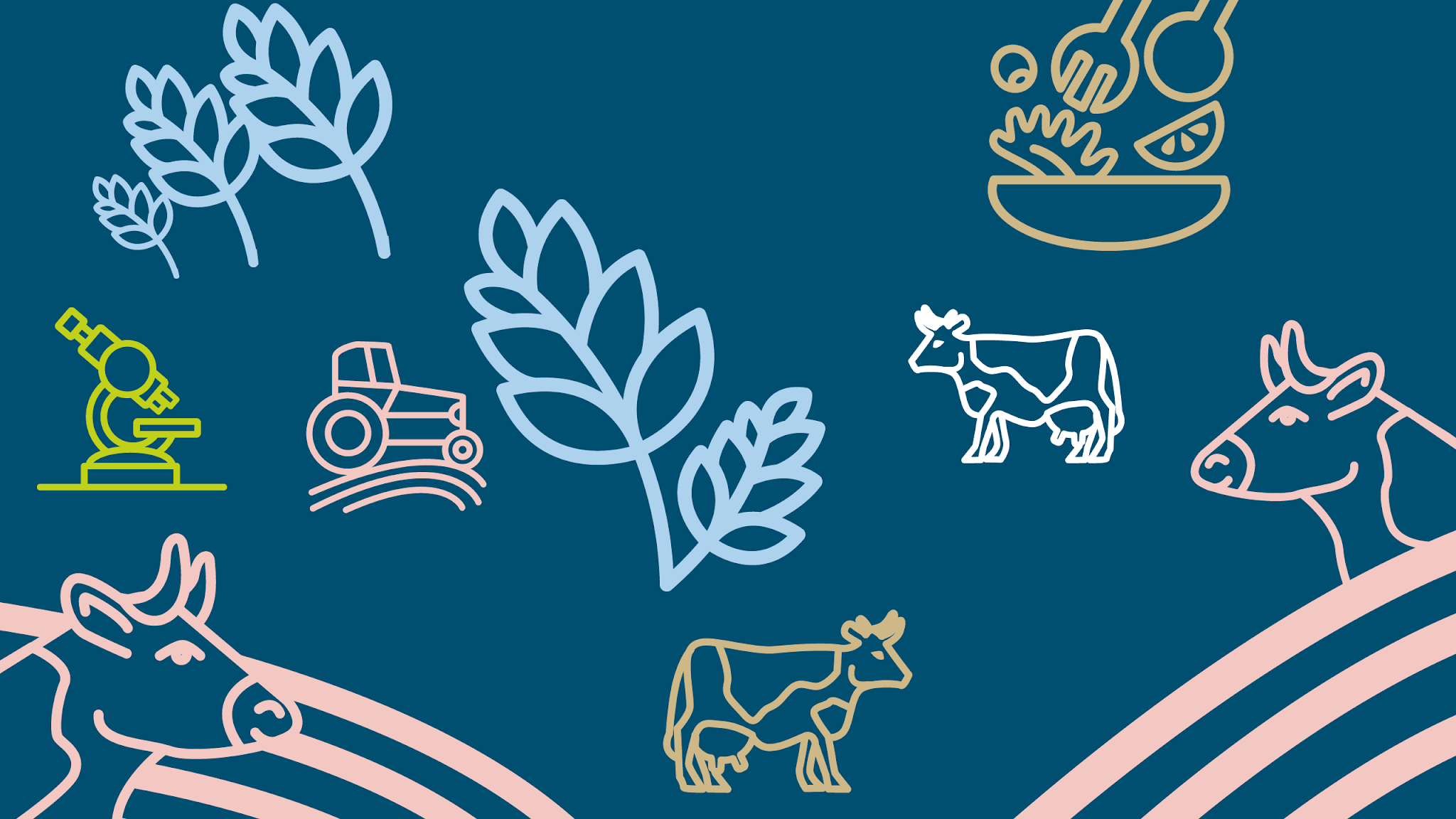 Ruokavirasto YouTube banner