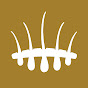 Hair Science Clinic • official logo