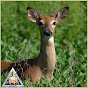 mowildlife logo