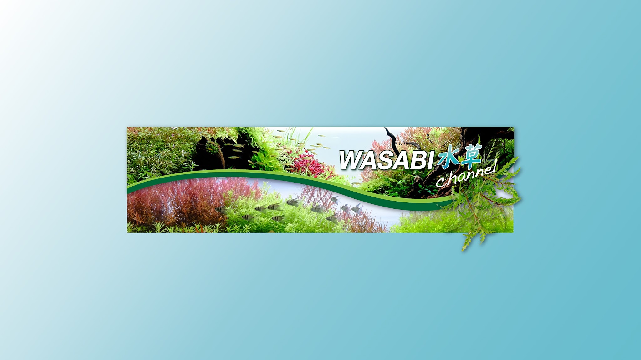【公式】AQUASHOP wasabi 水草チャンネル YouTube banner