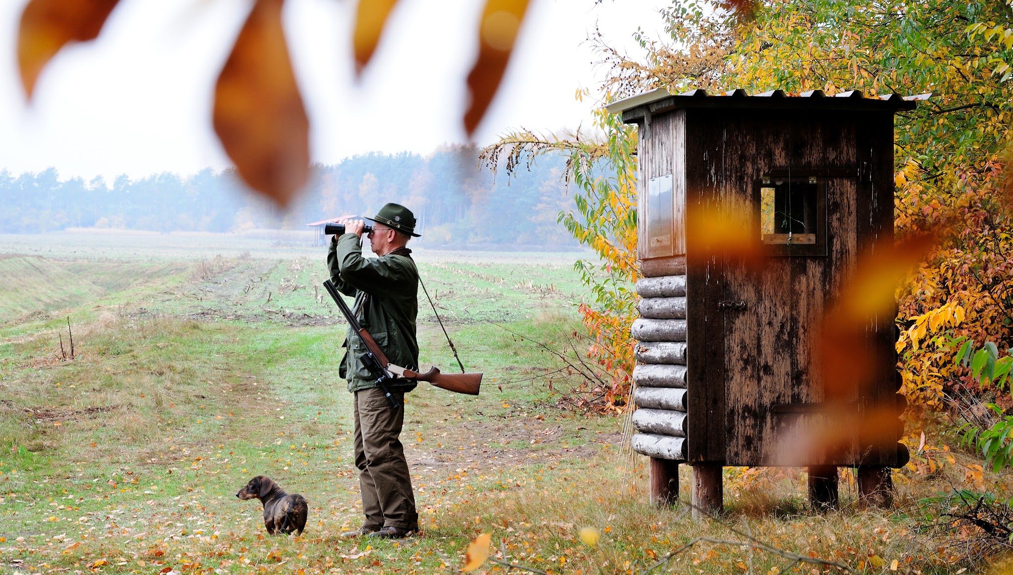 FACE European Federation for Hunting & Conservation YouTube banner