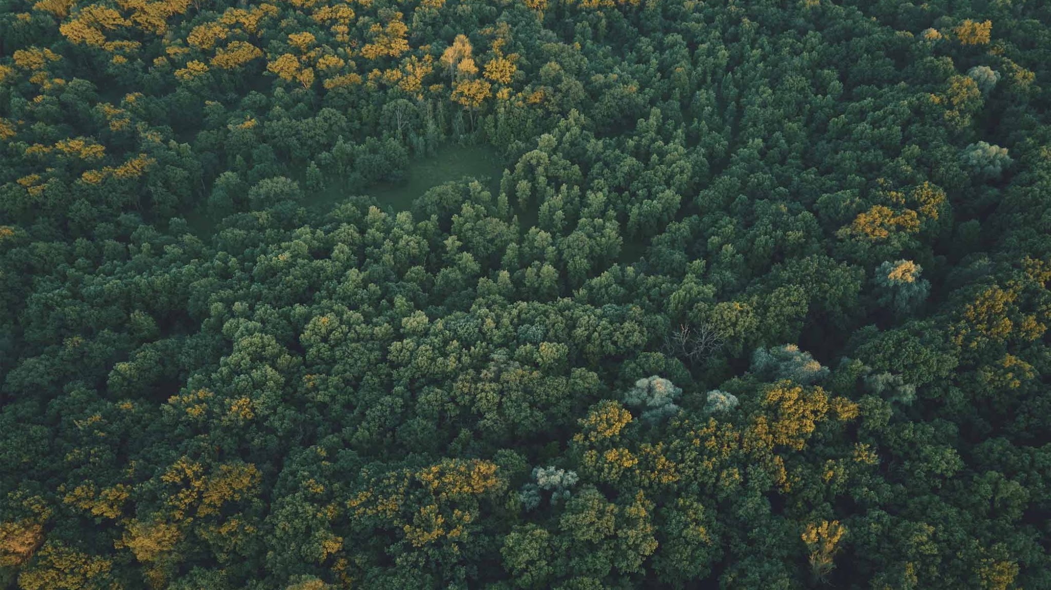 Wöstmann Markenmöbel YouTube banner