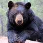 Bearizona Wildlife Park logo